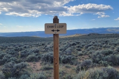 Sea-of-Sage-Evans-Loop-Sign