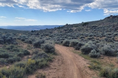 Sea-of-Sage-Looking-down-the-Valley