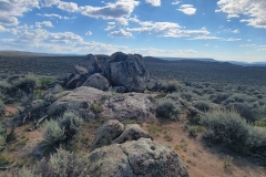 Sea-of-Sage-Rock-Clump