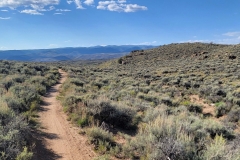 Sea-of-Sage-bright-trail-near-end