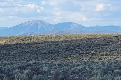 Sea-of-Sage-distant-peaks