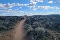 Sea-of-Sage-long-winding-trail