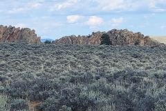 Sea-of-Sage-rock-mounds