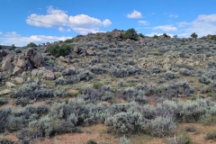 Sea-of-Sage-rocks-and-sage