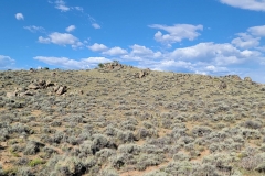 Sea-of-Sage-top-of-hill-view