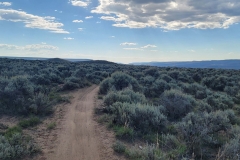 Sea-of-Sage-trail-after-junction