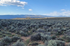 Sea-of-Sage-wide-with-setting-sun