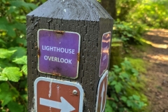 Shore-Acres-Lighthouse-overlook