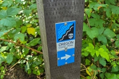 Shore-Acres-Oregon-Coast-Trail