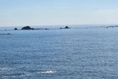 Shore-Acres-Simpson-reef-far-away