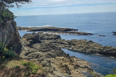 Shore-Acres-backside-seal-island