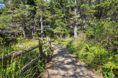 Shore-Acres-early-trail-through-woods