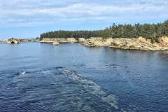 Shore-Acres-low-cove-2