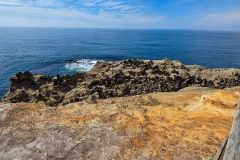 Shore-Acres-ocean-overlook