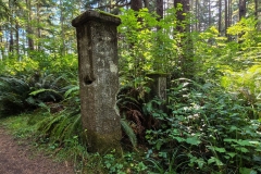 Shore-Acres-old-gate-post