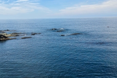 Shore-Acres-rock-in-ocean