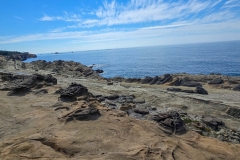 Shore-Acres-sandy-rock-and-ocean