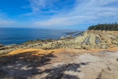 Shore-acres-down-the-cliff