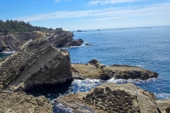 Shore-acres-giant-rock-near-start