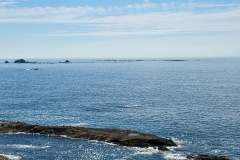 Shore-acres-ocean-and-reef