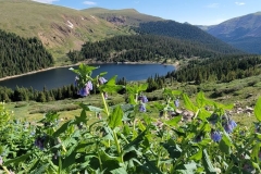 SIlver-dollar-lakes-another-naylor-valey