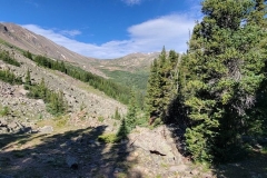 Silver-Dollar-Lakes-emerging-from-the-woods