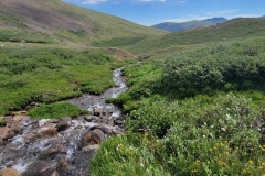 Silver-Dollar-Lakes-stream-feeds-a-valley