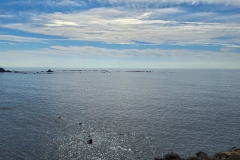 Simpson-Reef-from-Shore-Acres-First-Overlook-Reef-and-Water