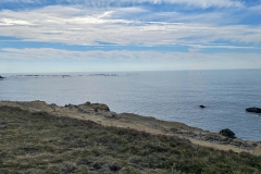 Simpson-Reef-from-Shore-Acres-First-Overlook-Simpson-Reef