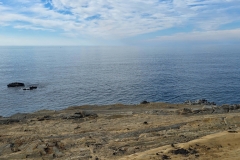 Simpson-Reef-from-Shore-Acres-First-Overlook-ocean