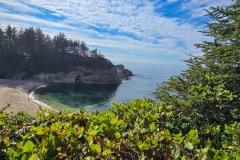 Simpson-Reef-from-Shore-Acres-First-view-of-beach