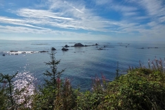 Simpson-Reef-from-Shore-Acres-Simpson-Reef-super-wide