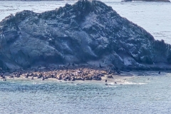 Simpson-reef-from-Shore-Acres-Reef-Overlook-Seal-Island