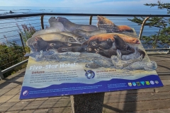 Simpson-reef-from-shore-acres-Simpson-Overlook-sign