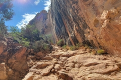 Sipapu-Bridge-Rough-Trail-with-Rocks