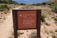 Sound-of-Silence-Desert-Voices