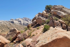 Sound-of-Silence-Rock-Pile