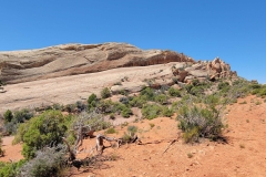 Sound-of-Silence-Sheet-rocks