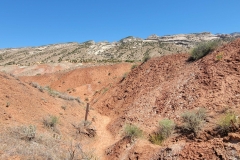 Sound-of-Silence-peeking-out