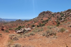 Sound-of-Silence-red-sand