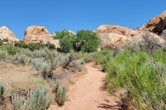 Sound-of-Silence-trail-near-rocks