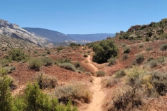 Sound-of-Silence-trail-through-top