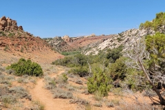 Sound-of-silence-winding-trail-in-desert