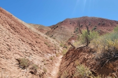 Sounds-of-Silence-Narrow-Trail