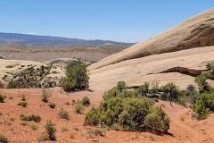 sound-of-silence-top-topography