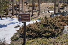 Sprague-Lake-Accesible-Camping