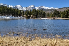 Sprague-Lake-Mountains-Ducks-Lake