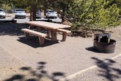 Sprague-Lake-Picnic-Table