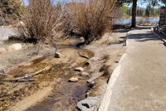 Sprague-Lake-early-stream