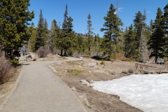 Sprague-Lake-trail-late-example